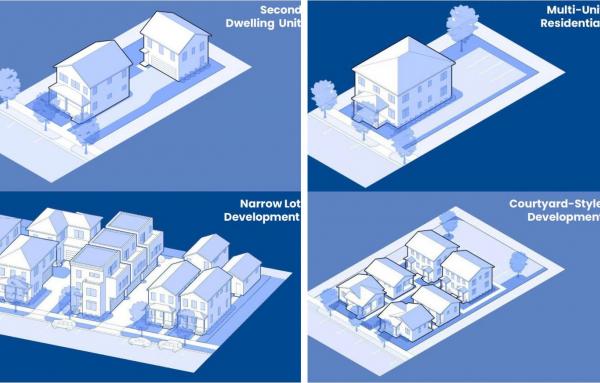 Article image for Arlington missing middle law struck down