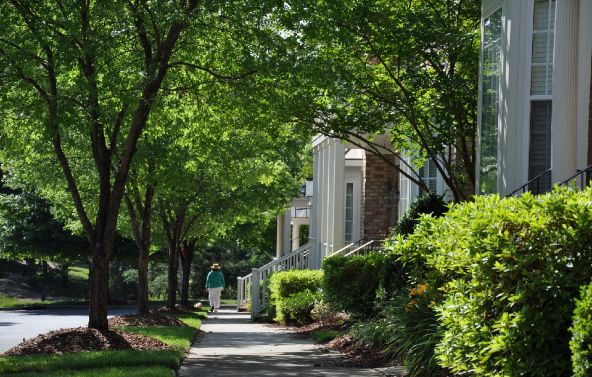 The Life-saving Benefits Of Street Trees | CNU