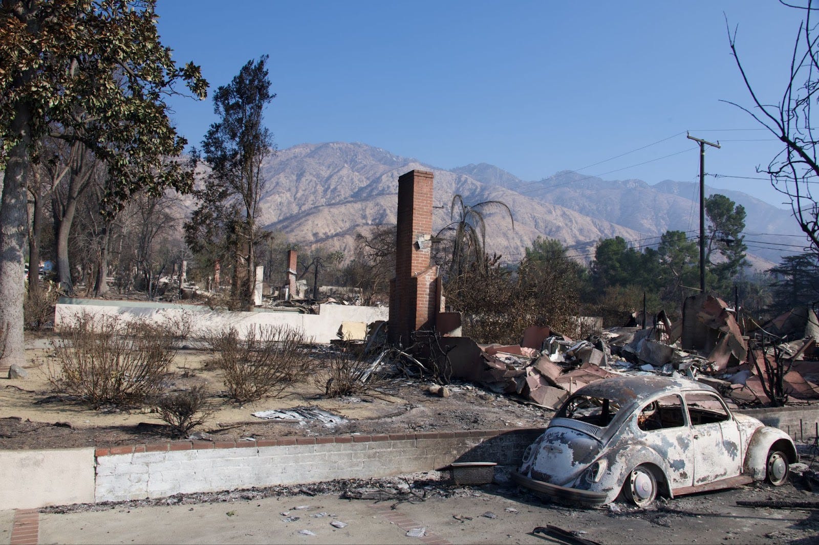 devastated homes Altadena